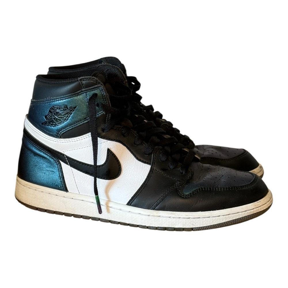 Nike (Rare) Air Jordan 1 Chameleon size 11